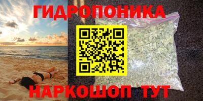 гашик Нарткала