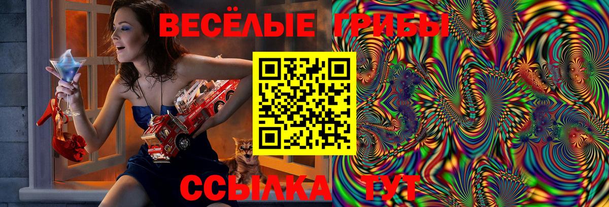 Галлюциногенные грибы Cubensis Соликамск