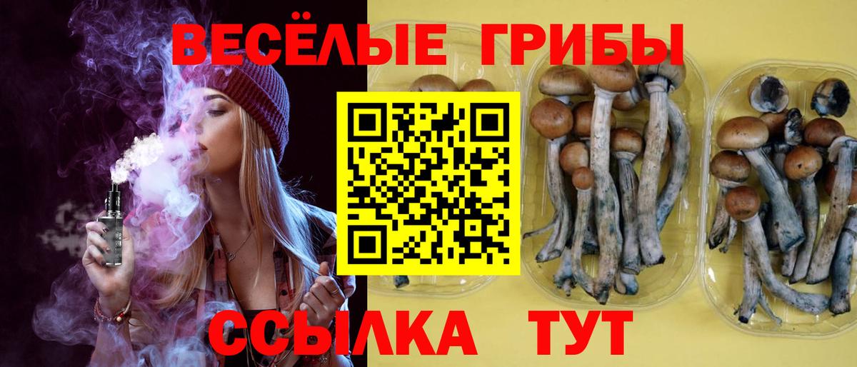 Псилоцибиновые грибы мухоморы  Галлюциногенные грибы мицелий  Вход с VPN  Соликамск 